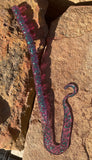 HR Baits 10” Ribbon Tail Worm (6 ct.)