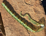 HR Baits 10” Ribbon Tail Worm (6 ct.)