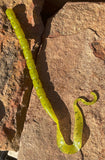 HR Baits 10” Ribbon Tail Worm (6 ct.)