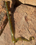 HR Baits 10” Ribbon Tail Worm (6 ct.)